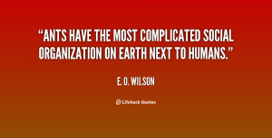 ... the most complicated social organization on earth next to humans