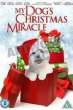 Miracle Movie Quotes