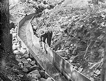 man leans over a wooden sluice. Rocks line the outside of the wood ...