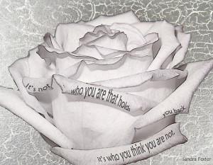 Sandra Foster › Portfolio › White Rose With Quote Tucked In Petals
