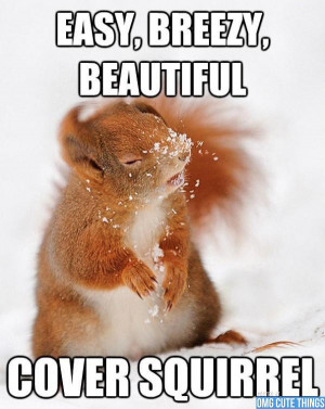 Easy, breezy, beautiful... cover squirrel