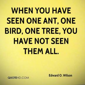 Edward O. Wilson Quotes