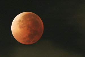 Blood Moon: Red or Orange 'Pink Full Moon' and Lunar Eclipse (Tetrad ...