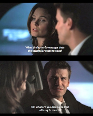 Booth and Brennan: when the butterfly emerges does the caterpillar ...