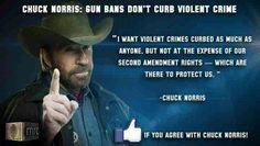 chuck norris quote more politics guns quote american chuck wisdom 2nd ...