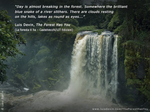 photo gallery with quotes from the book the forest has you and ...