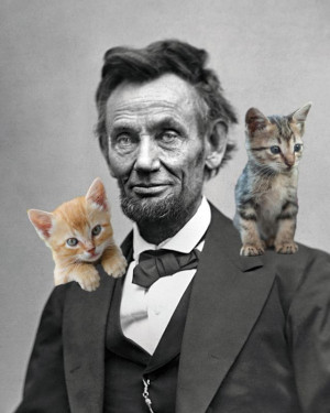 Lincoln-kittens.jpg