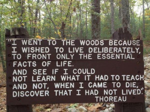Thoreau #quote sign at #Walden Pond in #Concord, #Massachusetts. # ...
