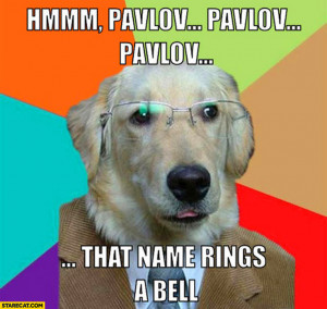 Pavlov that name rings a bell dog