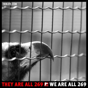 ... is not behind the bars of the cage. He is in front of it. ~Axel Munthe