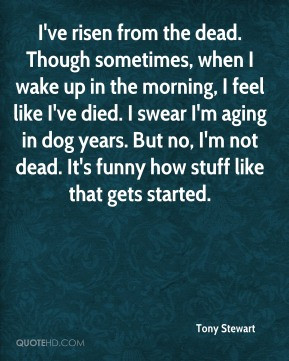 ... aging in dog years. But no, I'm not dead. It's funny how stuff