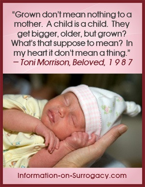 Surrogate Pregnancy with Multiples - Why Twins and Triplets are Common ...