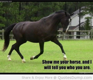 Meaningful Horse Quotes (36)