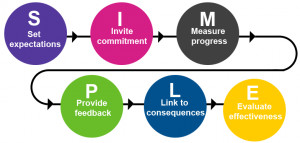Image: Infographic: SIMPLE approach to high performance organization