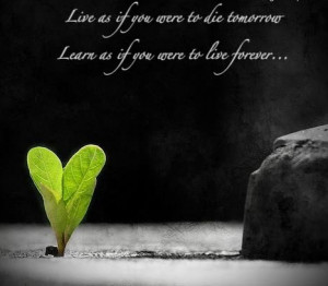 learn-as-if-you-were-to-live-forever-inspirational-quote.jpg