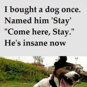 ... images, funny pictures, funny kids, sayings and quotes, funny sayings