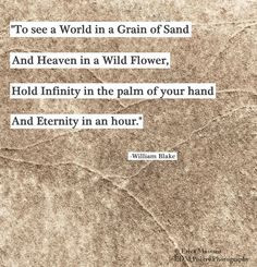 To see a World in a Grain of Sand and Heaven in a Wild Flower, hold ...