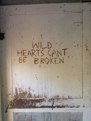 wild hearts can’t be broken.