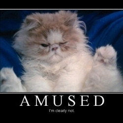 Wearin' my hair like it's hilarious tell me what's funny