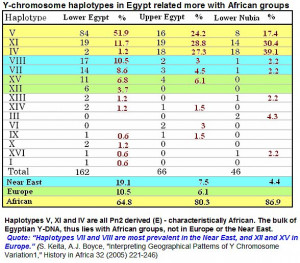 Egyptian Y-chromosome haplotypes show preponderance is withAfrican ...