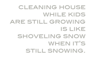 Cleaning Quotes, Cleaned Quotes, Clean Quotes