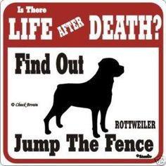 Rottweiler Funny Warning Dog Sign More
