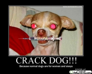 Motivational Quotes , inspirational quotes , Motivational Quotations ...