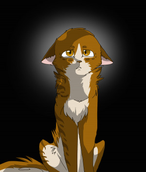 Funny Quotes Contact Us DMCA Notice