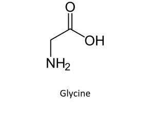 Threonine Amino Acid Structure