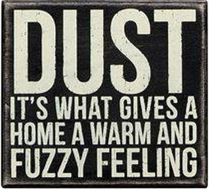 funny-pics-dust-is-whats-give-a-home-a-warm-and-fuzzy-feeling
