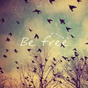 birds, black and white, feelings, freedom, inside, lost, love, quote ...