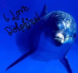 Dolphin Love Graphics Code | Dolphin Love Comments & Pictures