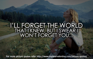 Sweet love quotes - I will forget the world