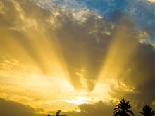 Rumi Quotes to Inspire Your Soul