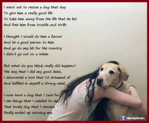 Shelter Dog Quotes Rescue dog quotes