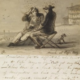 Inspiration for Writers: Insects and the Emotions They Evoke