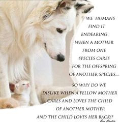 Stepmom quotes and sayings