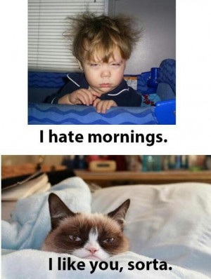 hate mornings