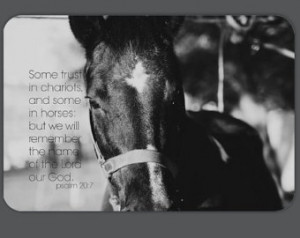 Scripture Horse Magnet Bible Verse Bumper Sticker Equine Christian ...