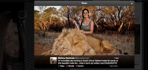 Brave Lion Quotes How brave you must be to kill