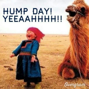 Hump Day yeah!!