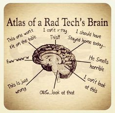 Atlas of Rad Tech's Brain More
