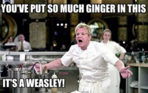... : Funny Pictures // Tags: Funny gordon ramsay meme quote // May, 2013