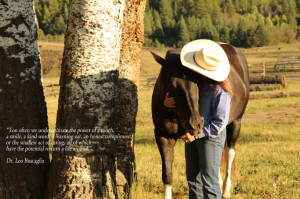 horse quotes - buscaglia.jpg