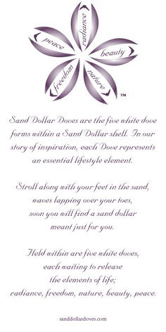 sand, waves lapping over your toes, soon you will find a sand dollar ...