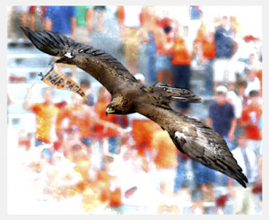 Auburn War Eagle Clip Art