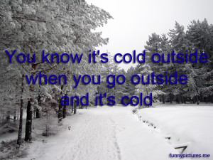 You Know It's Cold Outside When... - Funny pictures
