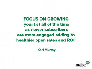 ... . (Karl Murray) #email #marketing #quote #list #rates #ROI #business