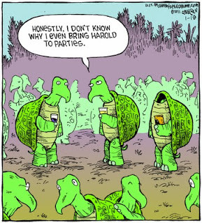 Posted by Dusana Bozenkova at 11:08 AM