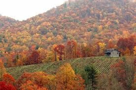 to Great Smoky Mountain VacationsCabin, Great Smoky Mountain, Fall ...